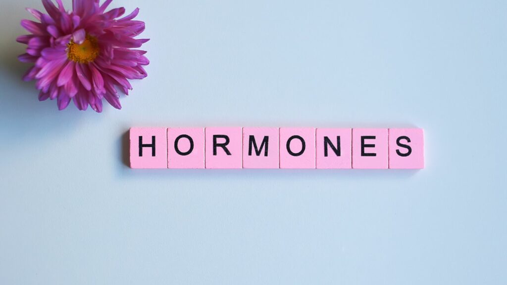 bioflix activity homeostasis hormones and homeostasis