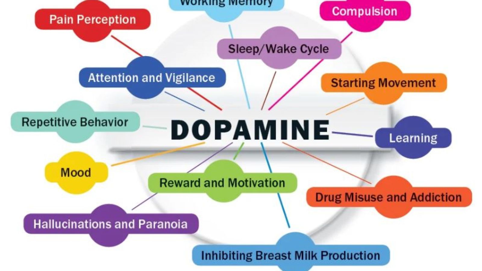 Research published in the Journal of Neuroscience