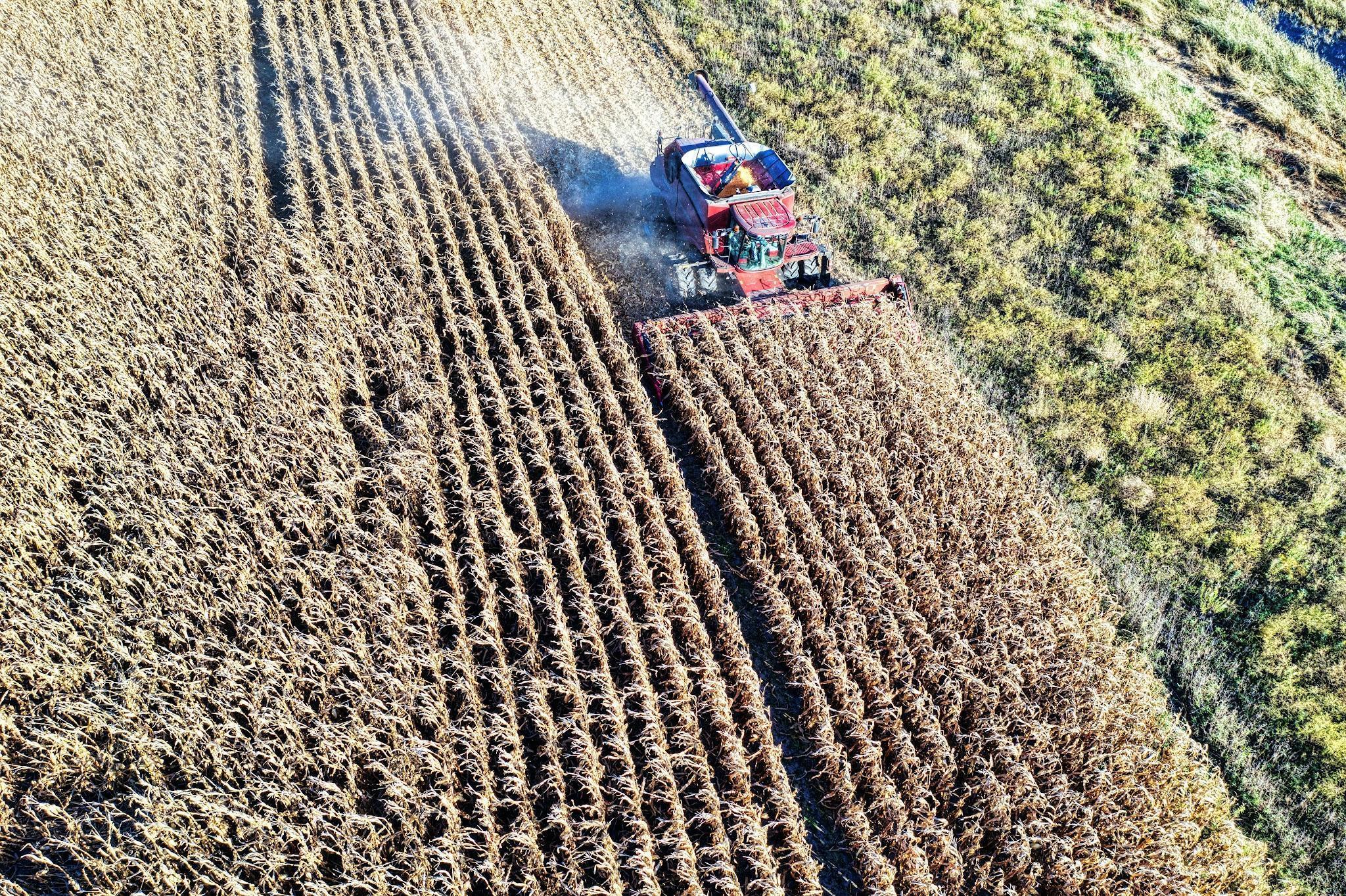 agri-business security, farm security solutions, agricultural security systems, rural security services, crop protection security, farmland safety systems, agricultural risk management, security for farming operations, rural property security, agricultural business safety