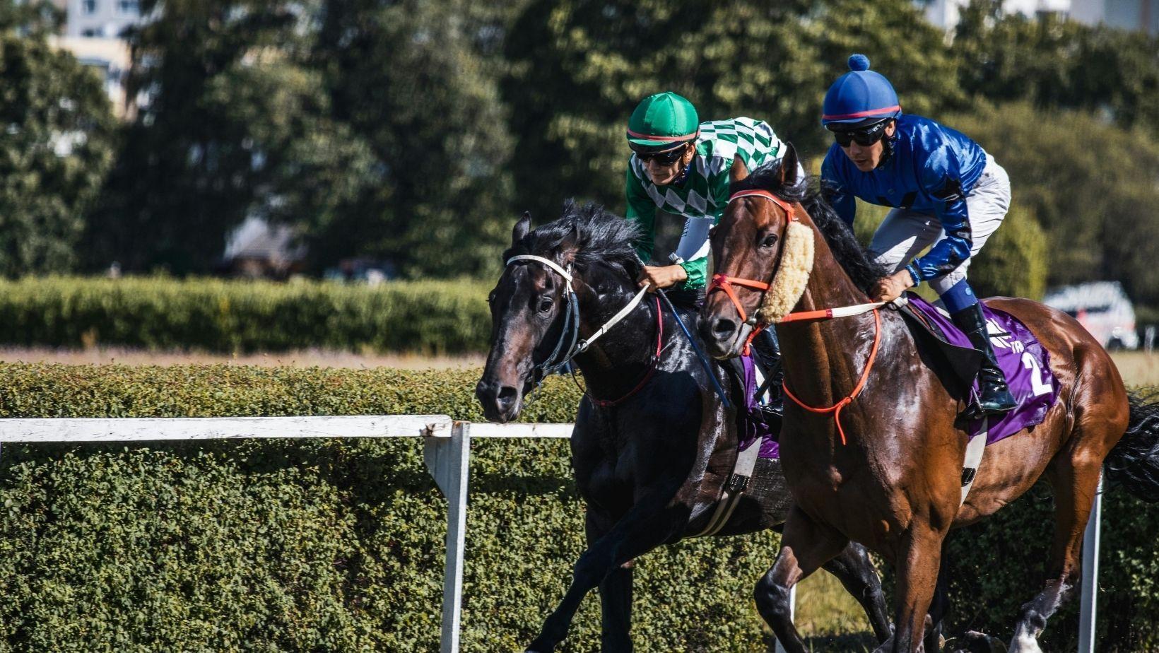 preakness stakes contenders, kentucky derby favorites, belmont stakes top horses, horse race predictions, triple crown contenders, stakes race analysis, kentucky derby horses to watch, paddock analysis preakness, thoroughbred racing tips, sports betting horse races